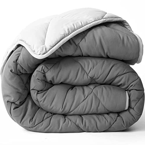 All Seasons Twin/Twin XL Down Alternative Reversible Comforter