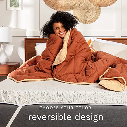 All Seasons Twin/Twin XL Down Alternative Reversible Comforter